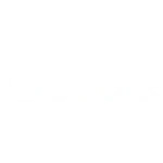 google-1.webp