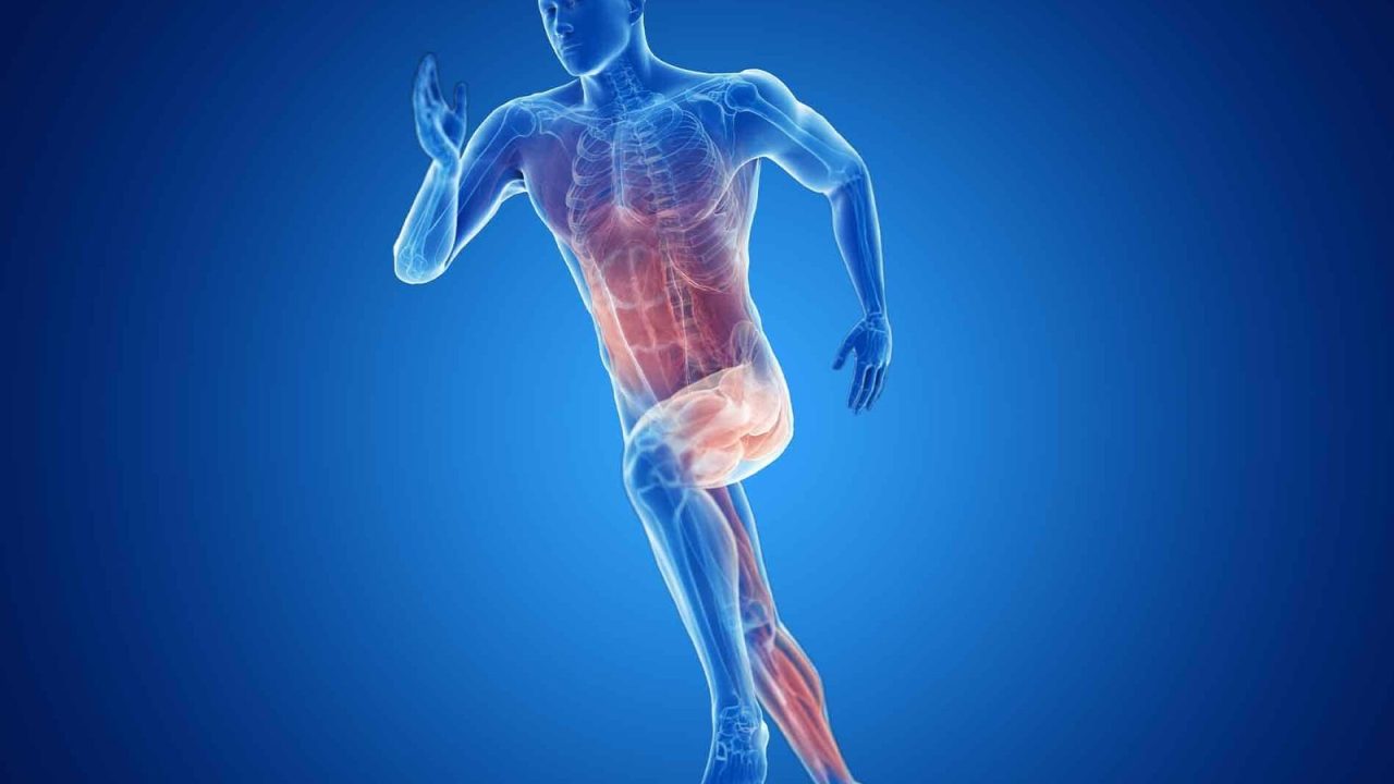 Muscle-Strain2.jpg