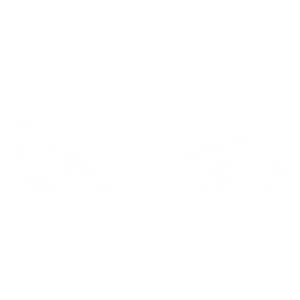 google-1.webp
